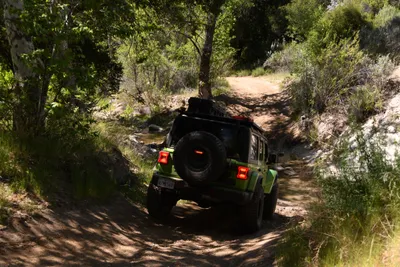 DSC_5904 (Large).JPG